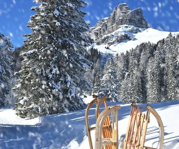 Allod Park Haus C 306 By Interhome Давос